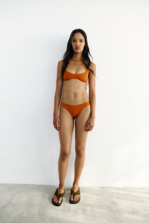 Shell Bottom Orange Sunset