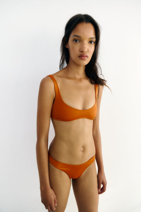 Shell Bottom Orange Sunset