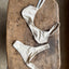 Nora White Pearl